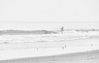 2020 FAA2248 FISHING THE SURF