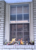 2020 FAA3286 WINDOWSILL GUARDIANS