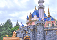 2019 FAA1929 Hidden Disney Magic