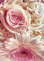 2020 FAA2904 MANY PINK PETALS
