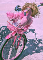 2022 FAA4489 FLAMINGO PINK *