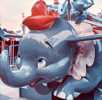 2019 FAA1910 10 Pink Elephants