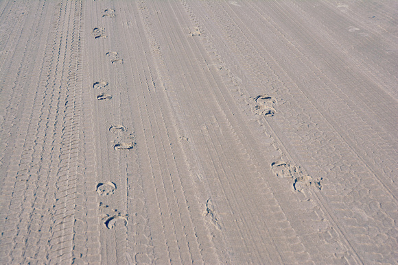 2022 FAA6315 CAROVA TRACKS *