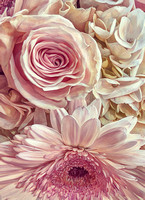 2020 FAA2904 MANY PINK PETALS *