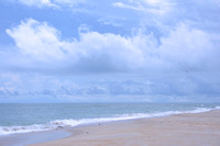 OBX 8/4/2019