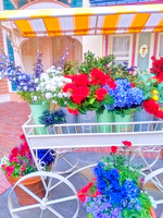 2019 FAA1935 CART OF FLOWERS